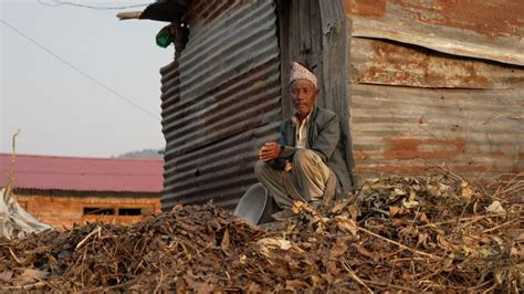 hokse village in nepal|Nepal villagers duped into selling kidneys and told .